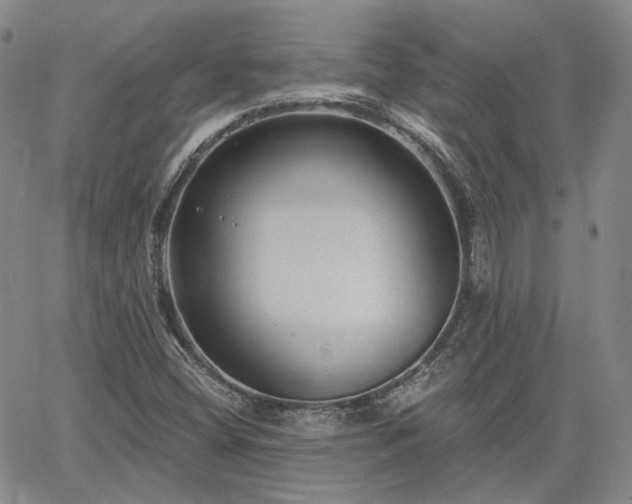 X0000061731404200512091533