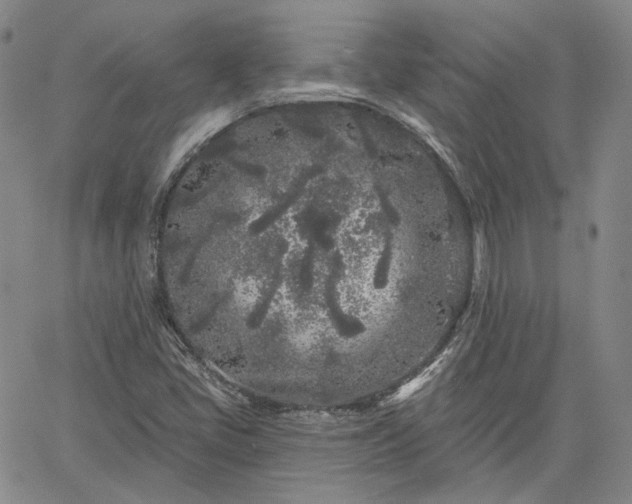 X0000061731405200512091533