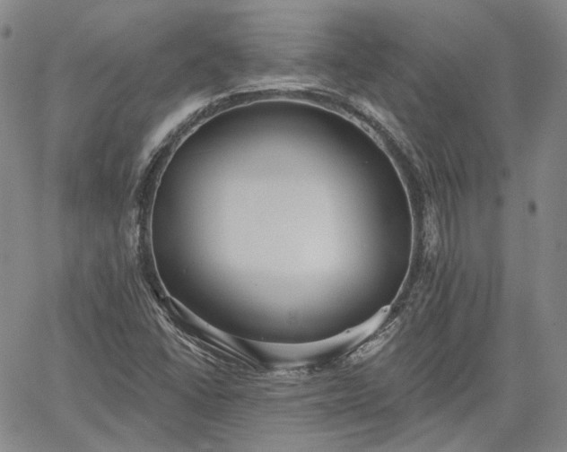 X0000061731406200512091533