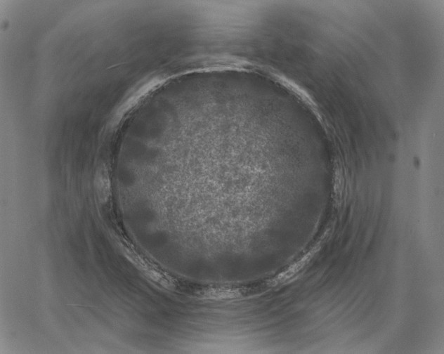 X0000061731407200512091533