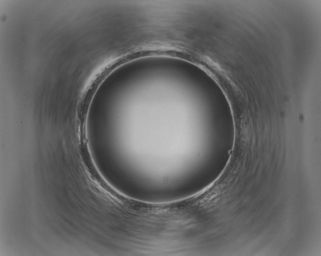 X0000061731408200512091533