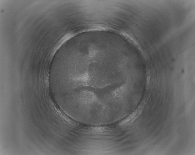 X0000061731409200512091533