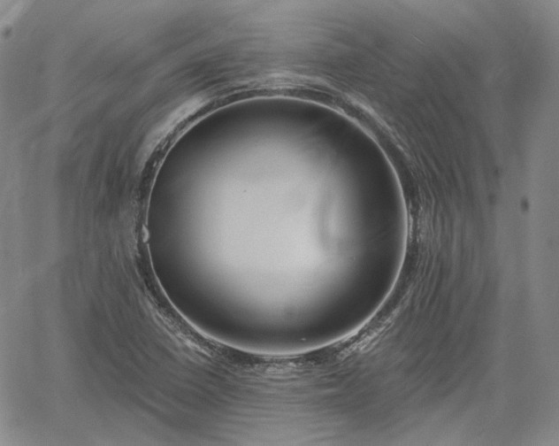 X0000061731410200512091533