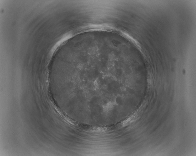 X0000061731411200512091533