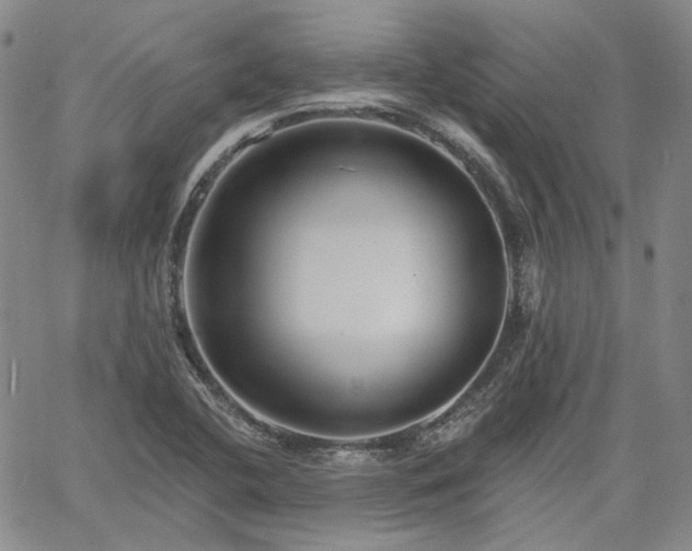 X0000061731412200512091533