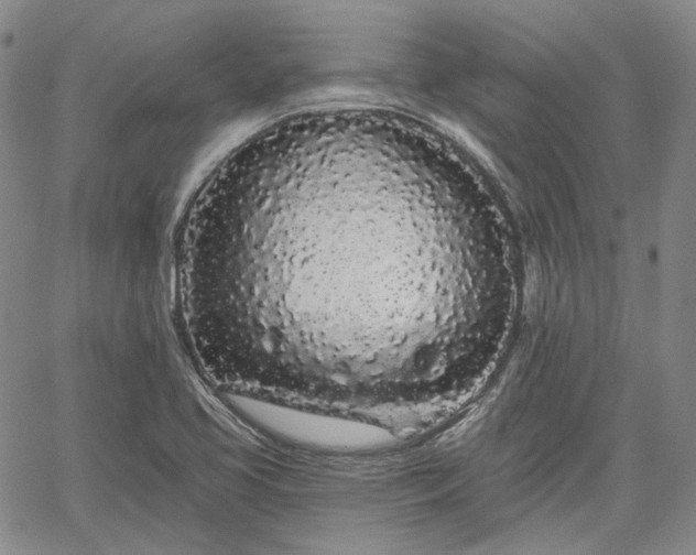 X0000061731413200512091533