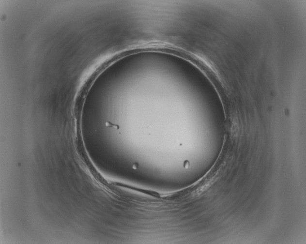 X0000061731414200512091533