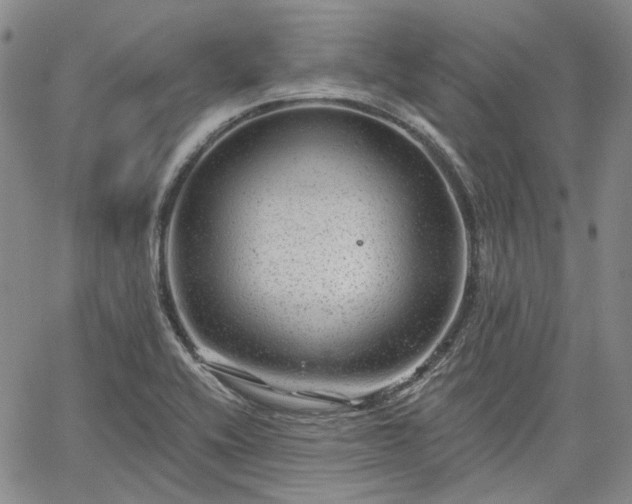 X0000061731416200512091533