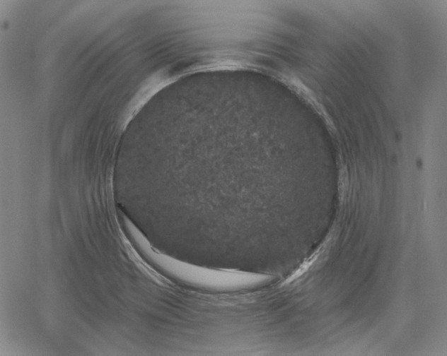 X0000061731417200512091533