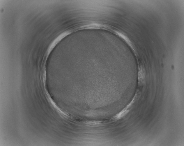 X0000061731418200512091533