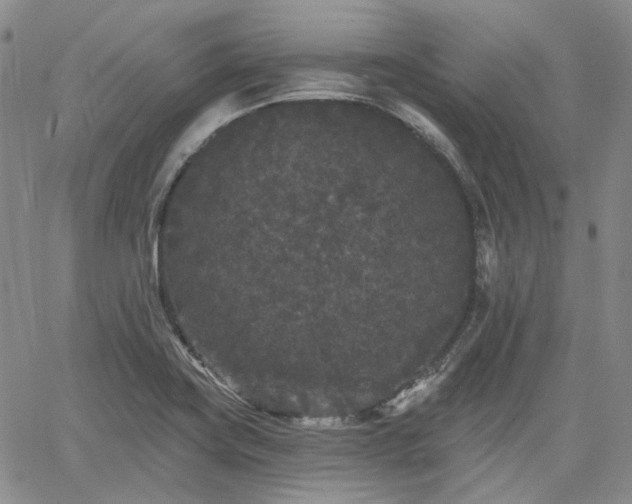 X0000061731419200512091533