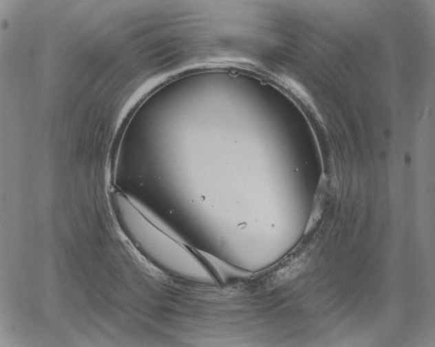 X0000061731420200512091533