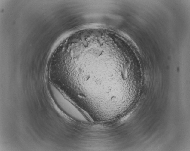 X0000061731421200512091534