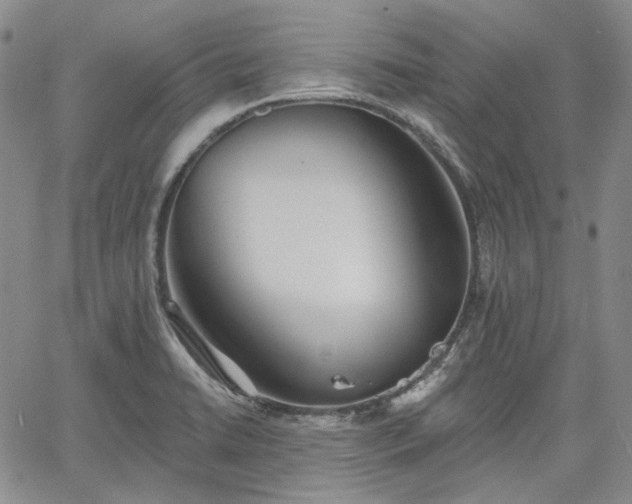 X0000061731422200512091534