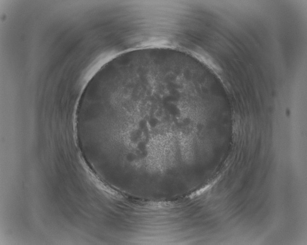 X0000061731423200512091534