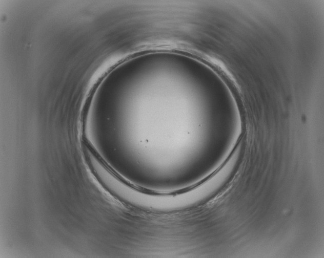 X0000061731424200512091534