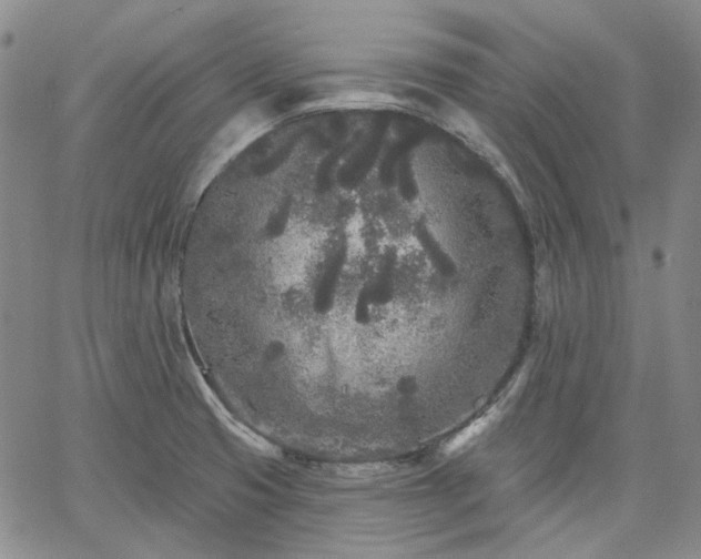 X0000061731425200512091534