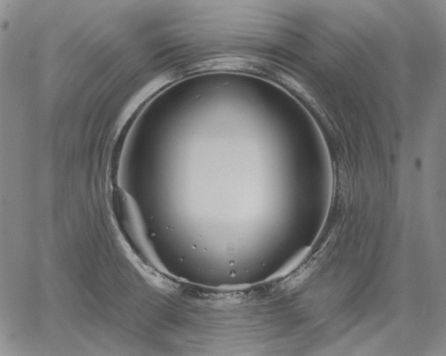 X0000061731426200512091534