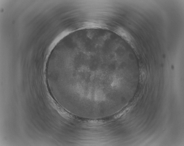 X0000061731427200512091534