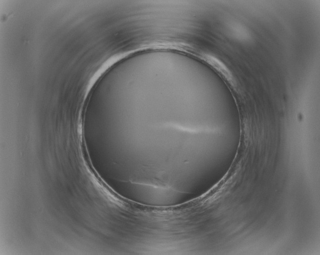 X0000061731428200512091534