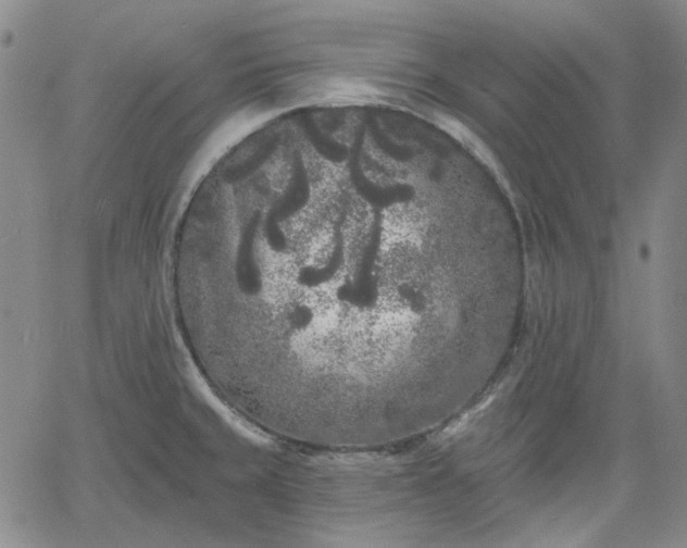 X0000061731429200512091534