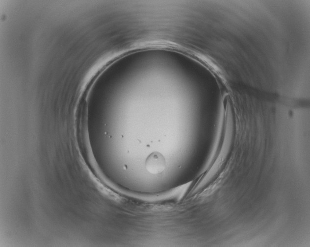 X0000061731430200512091534