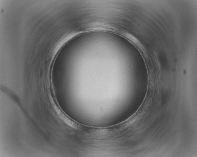 X0000061731431200512091534