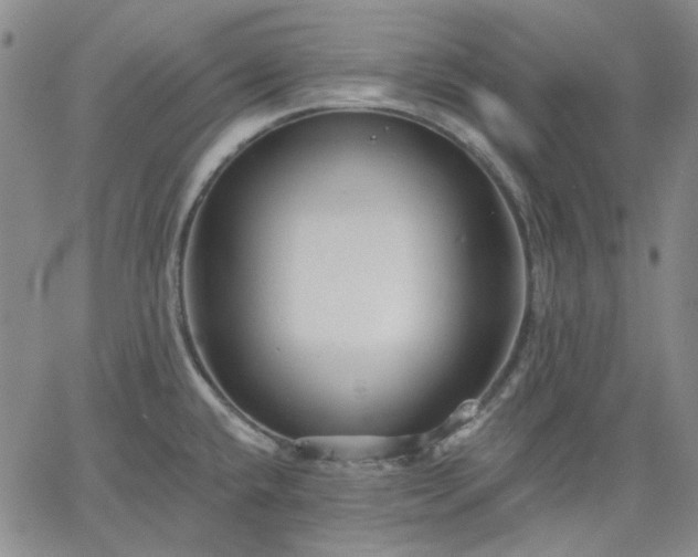 X0000061731432200512091534