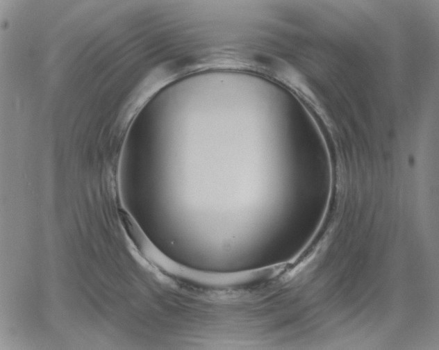 X0000061731433200512091534