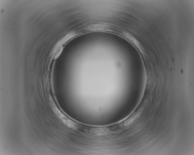 X0000061731434200512091534