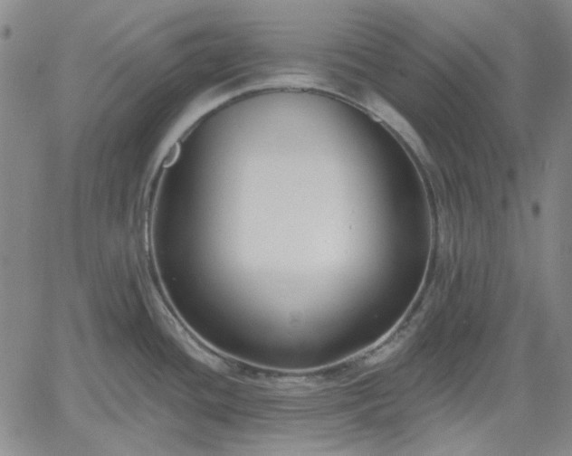 X0000061731436200512091534