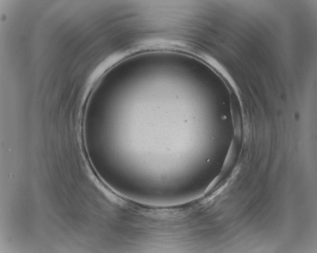 X0000061731437200512091534