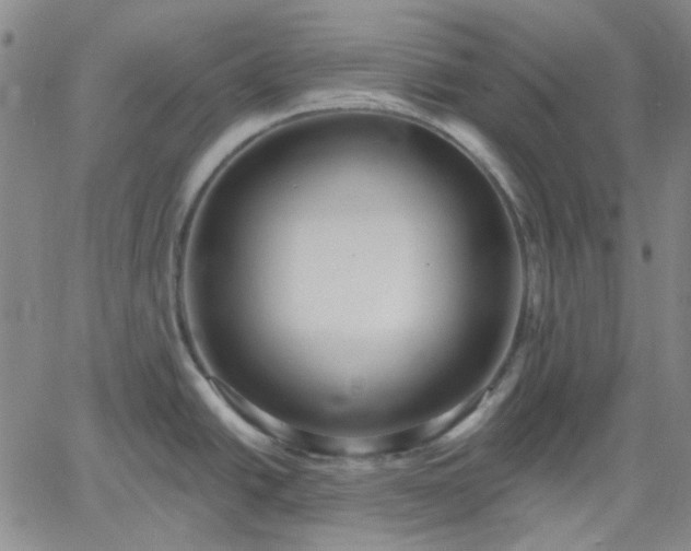 X0000061731438200512091534