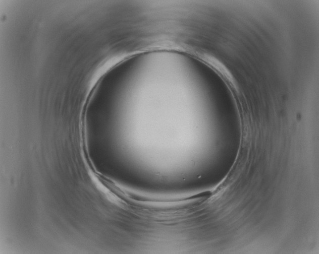 X0000061731439200512091534