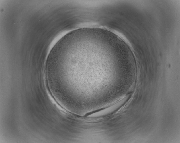 X0000061731440200512091534