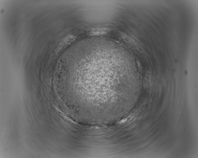 X0000061731441200512091533