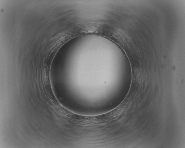 X0000061731442200512091533