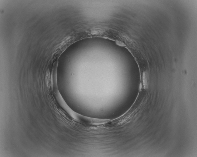 X0000061731443200512091533