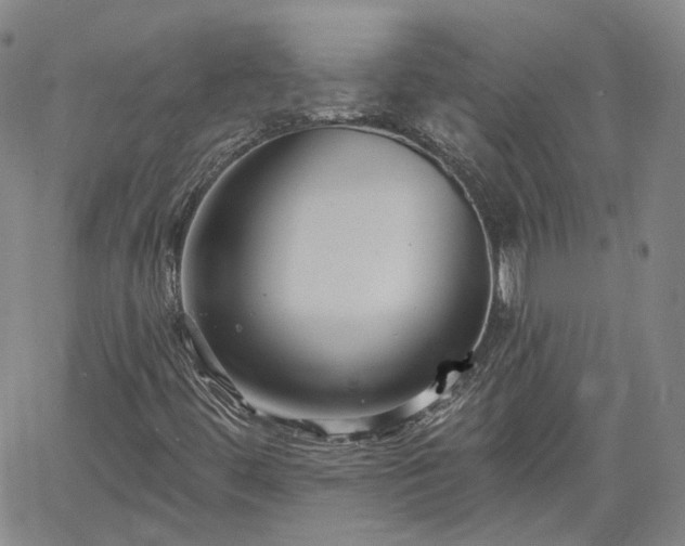 X0000061731444200512091533