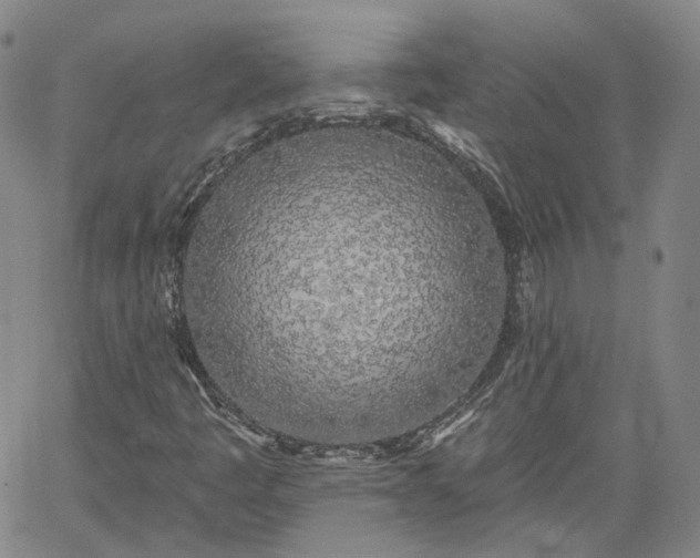 X0000061731445200512091533