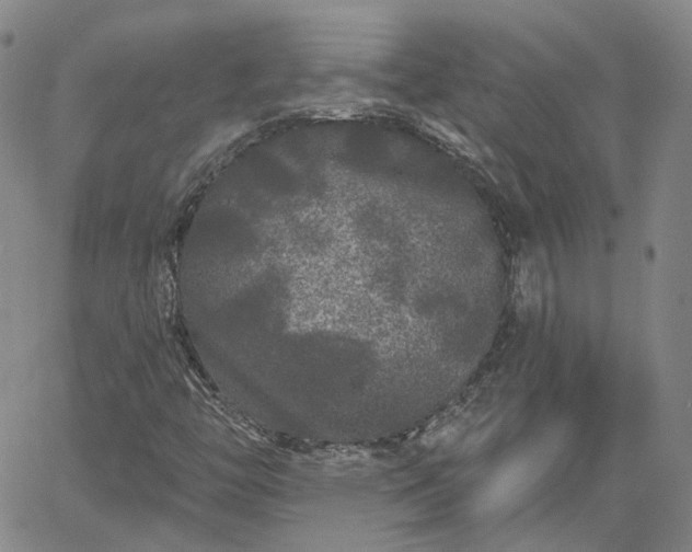 X0000061731446200512091533