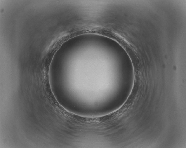 X0000061731447200512091533