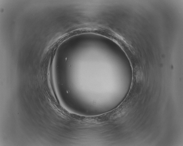 X0000061731448200512091533