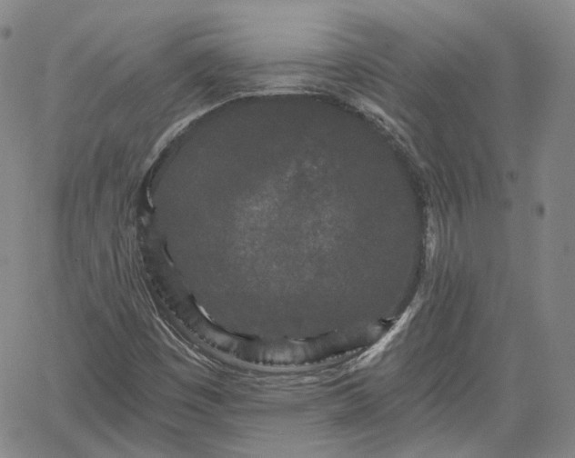 X0000061731449200512091533