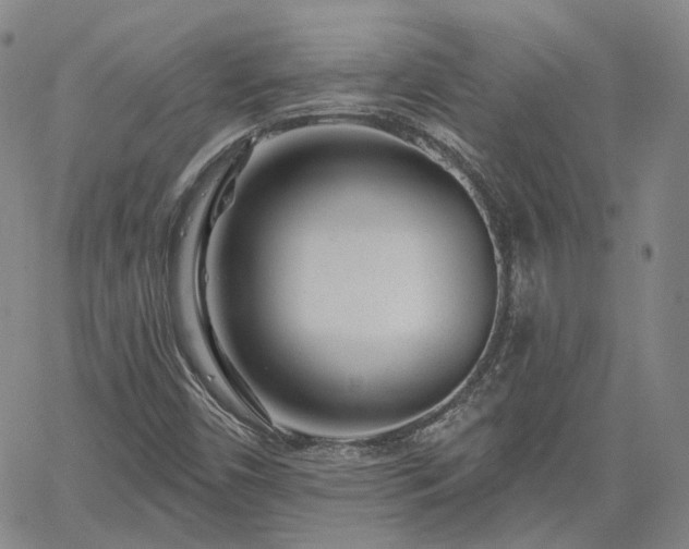 X0000061731450200512091533