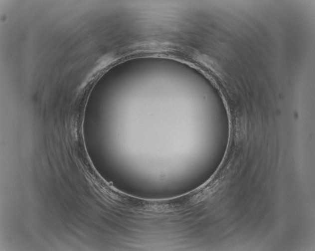 X0000061731451200512091533