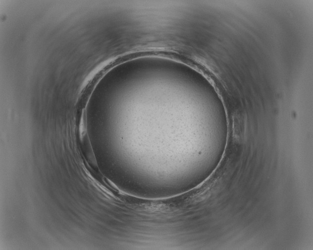 X0000061731452200512091533