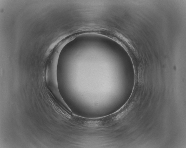 X0000061731453200512091533