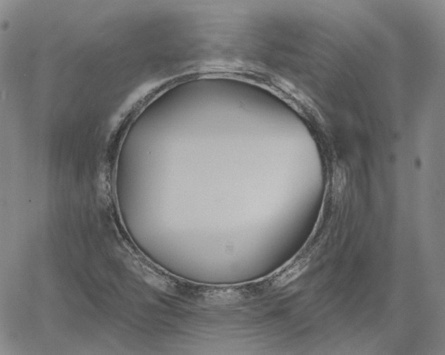 X0000061731454200512091533