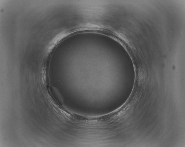 X0000061731455200512091533